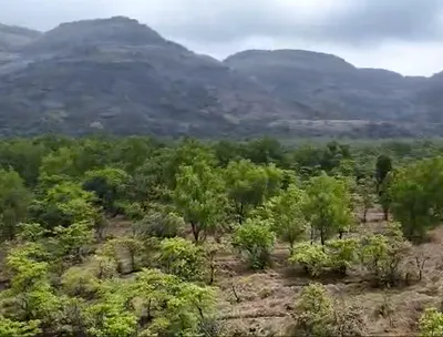VF94+MQ Thoran, Pune District, Maharashtra, India preview 2