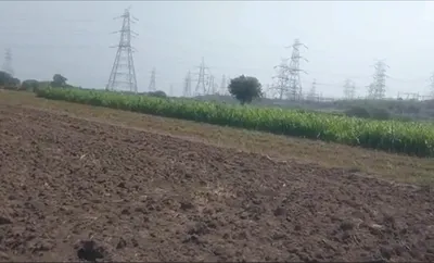 WV3V+Q2C, Indore, Shahna, Madhya Pradesh 453551, India preview 2