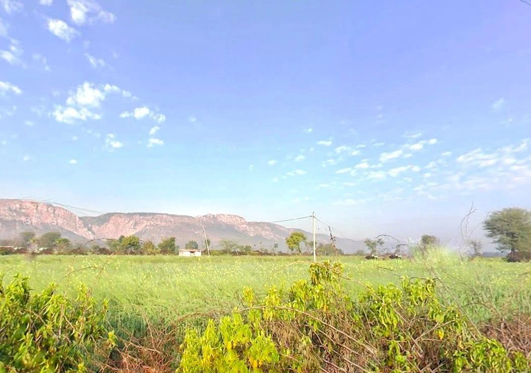 HF5F+2R8, Rundh Binak, Rajasthan 301001, India