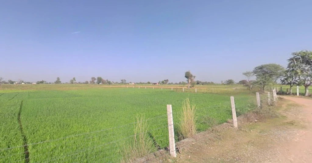 Jai Singhwala, Punjab 151005, India