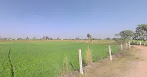 Jai Singhwala, Punjab 151005, India preview 2