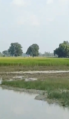 J3GH+JWR, Lucknow, Samesee, Uttar Pradesh 226303, India