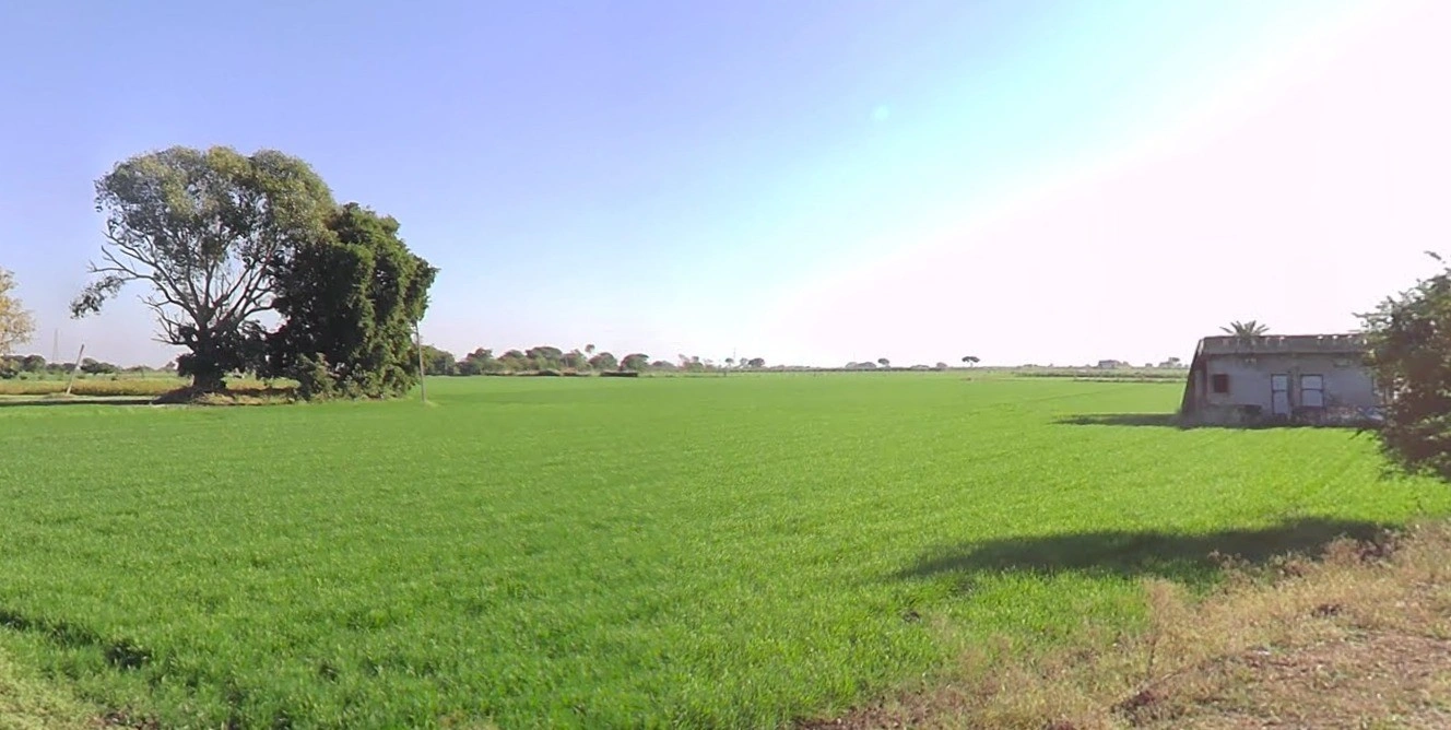 Nignoti, Madhya Pradesh, India