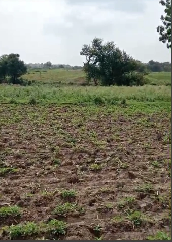 VX37+V8 Dakachya, Madhya Pradesh, India preview 2