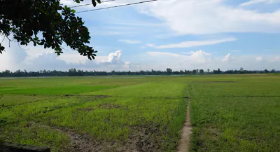 Ellenabad, Haryana 125102, India preview 2