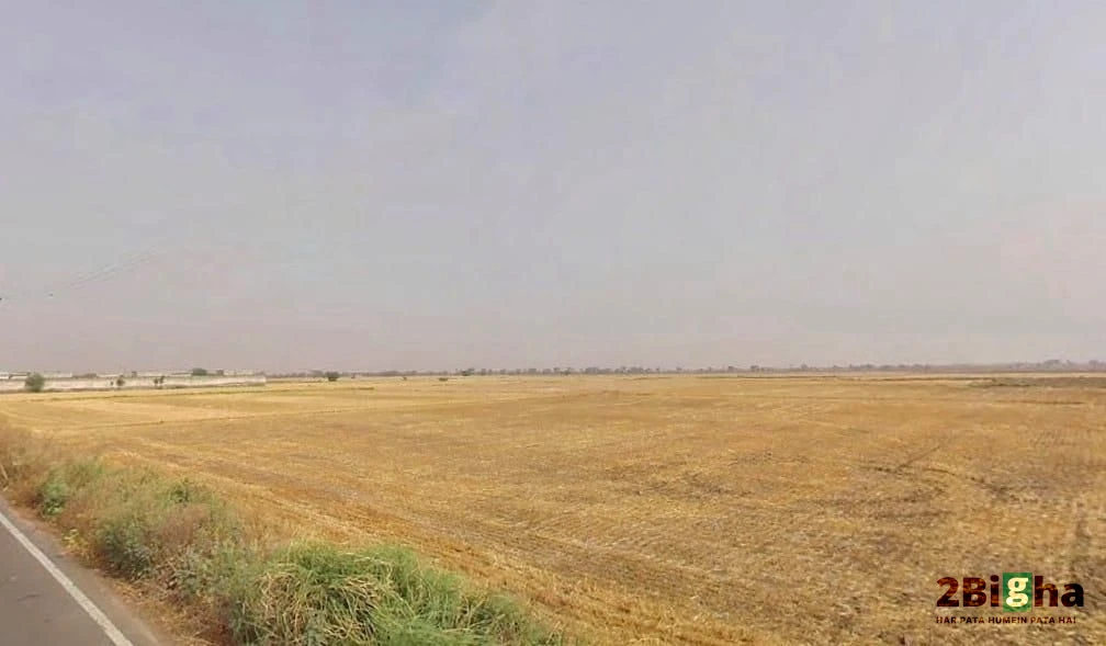 Goriwala, Haryana 125103, India