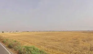 Goriwala, Haryana 125103, India preview 2