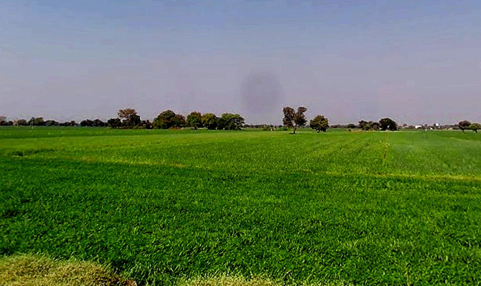 3PRM+428, Runija, Madhya Pradesh 456776, India