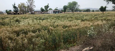 Seetal, Rajasthan 301021, India preview 3