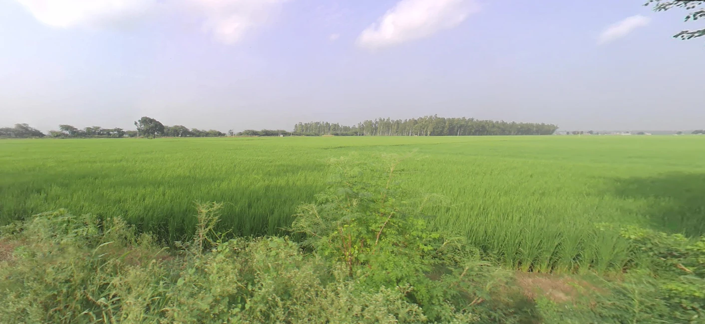 Dibai, Uttar Pradesh 203393, India