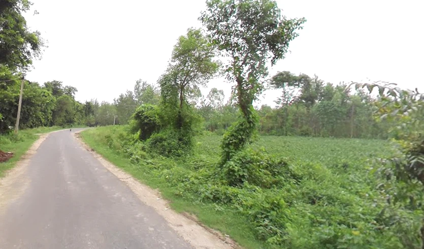4RCX+RHF, Saharanpur Rd, Sunderpur, Uttar Pradesh 247662, India