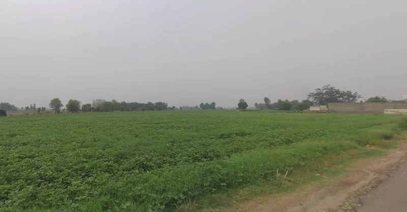 Ghanshyampur, Gujarat 363330, India preview 2