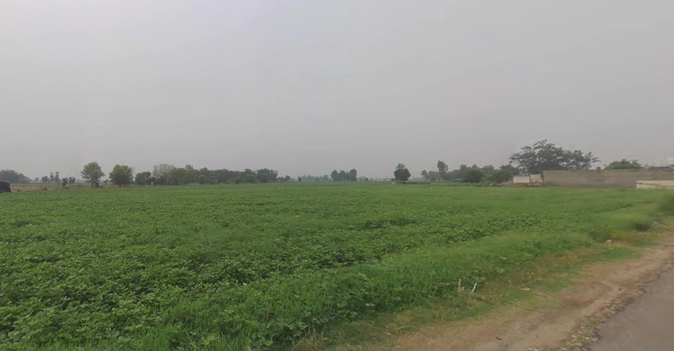 Ghanshyampur, Gujarat 363330, India