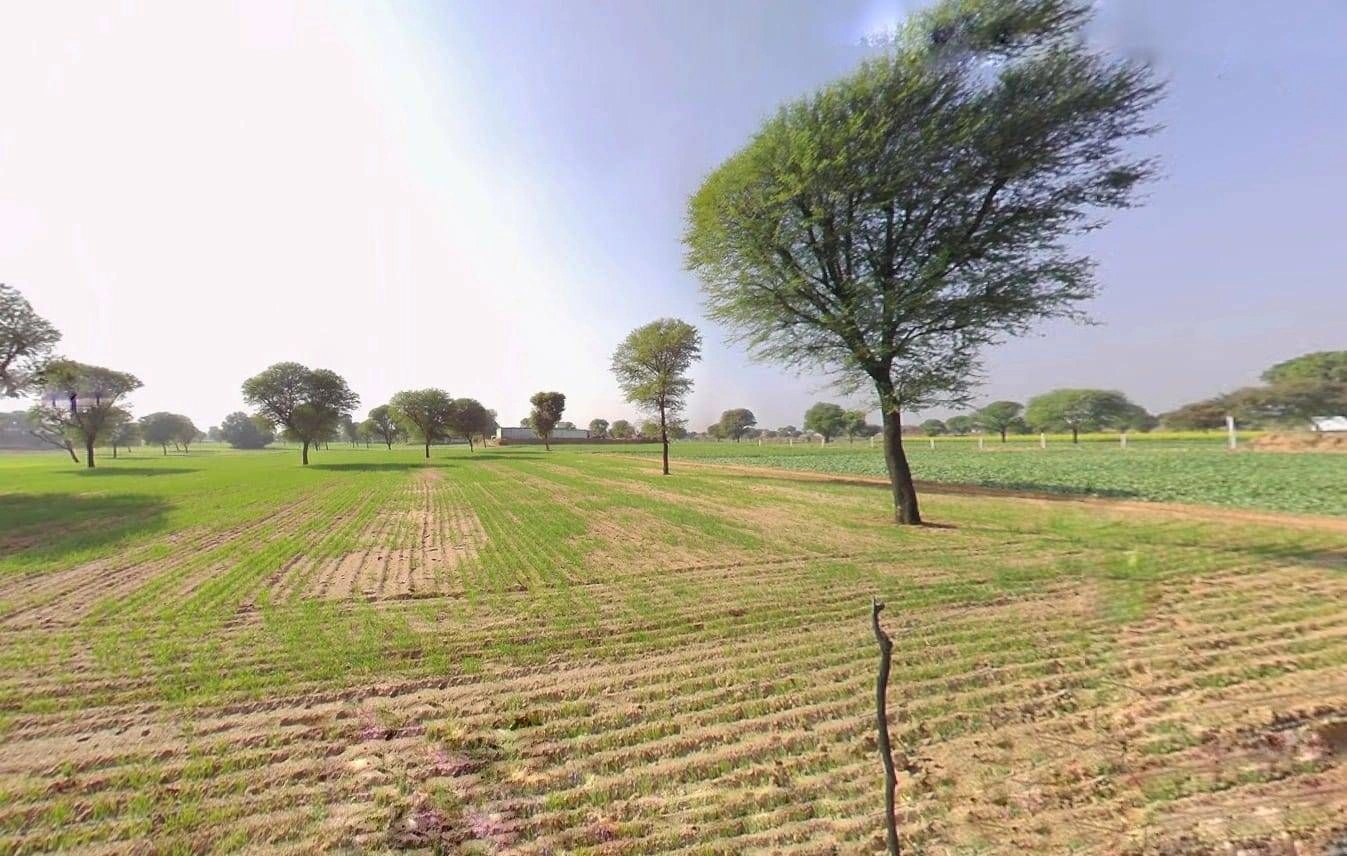 8JF5+Q3Q, Sargoth, Rajasthan 332404, India
