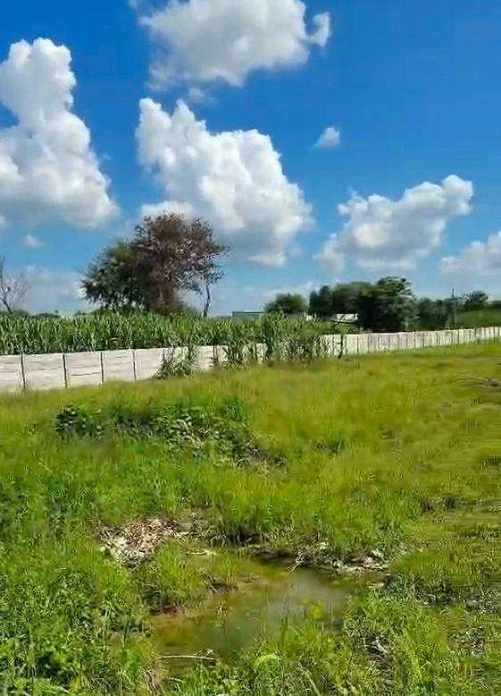 Aurangabad, Palwal, Haryana 121105, India