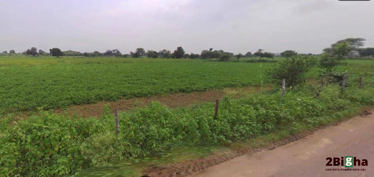 Chhatarpur, Madhya Pradesh 471001, India