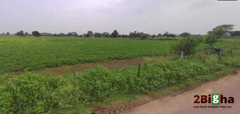 Chhatarpur, Madhya Pradesh 471001, India preview 2