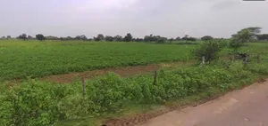 Chhatarpur, Madhya Pradesh 471001, India preview 2