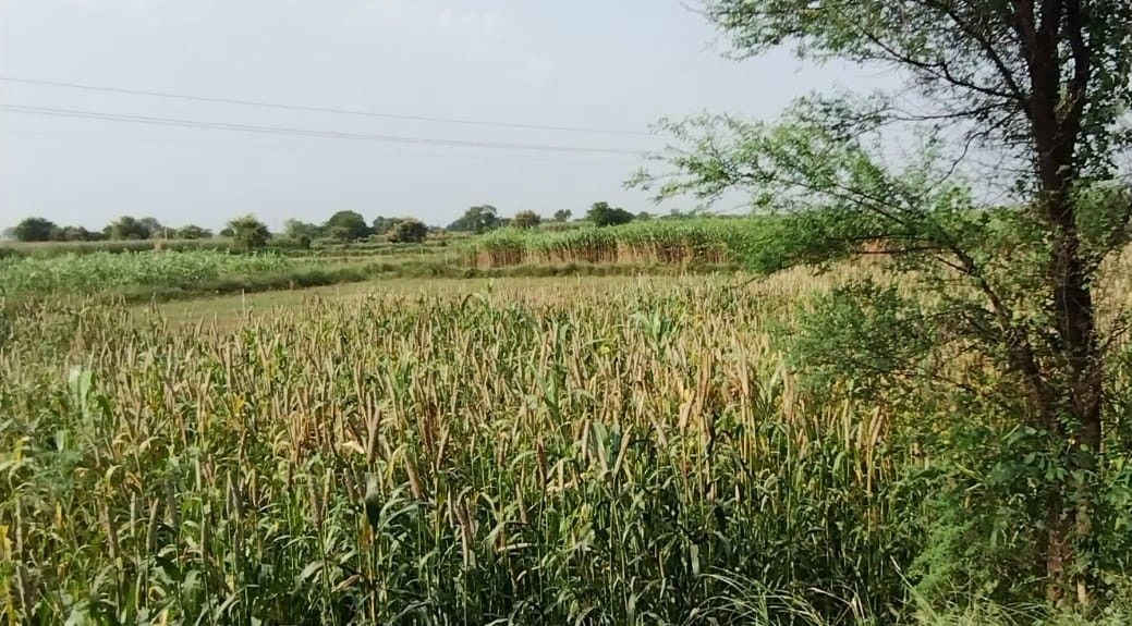 Ramnagar, Rajasthan 301001, India