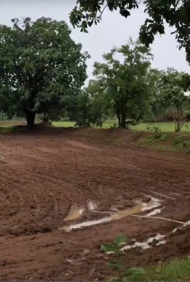 RRRQ+JQJ, Indore, Ringnodiya, Madhya Pradesh, India