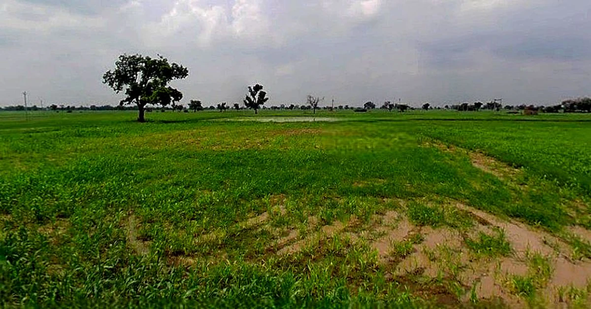 Chandla, Madhya Pradesh 471525, India