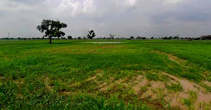 Chandla, Madhya Pradesh 471525, India preview 3