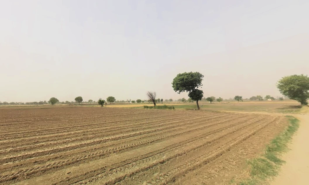 Pirthla, Haryana, India