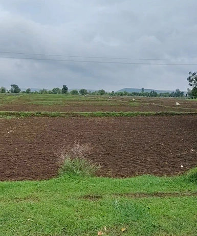 Karpa, Anuppur, Madhya Pradesh 484881, India