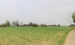 Asilpur, Uttar Pradesh, India preview 2