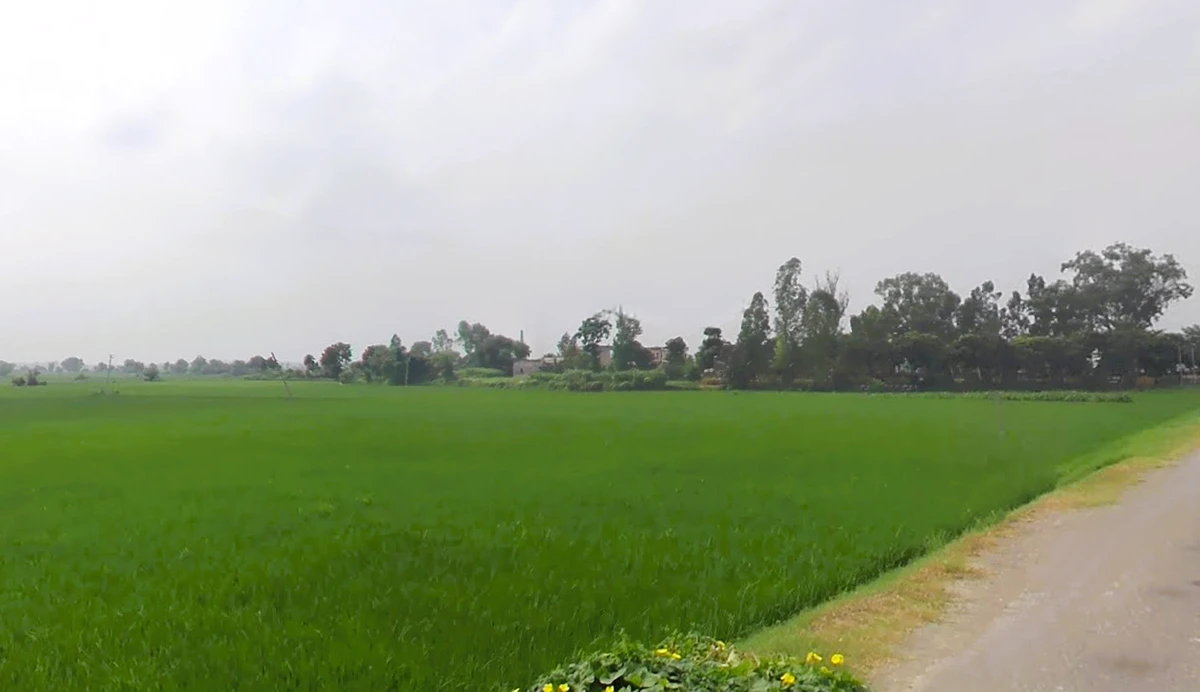 Kurukshetra, Haryana, India