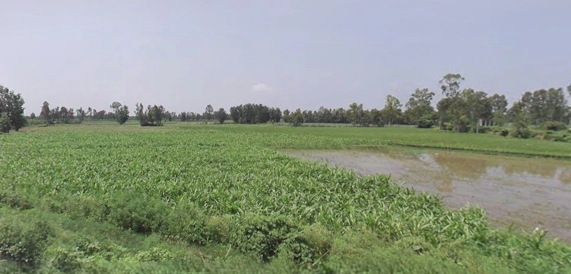 Jansath, Uttar Pradesh 251314, India