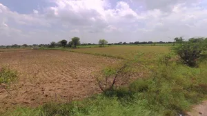 Ladwa, Haryana 136132, India preview 2