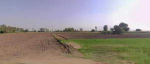 Dadri Toye, Haryana 124103, India preview 3