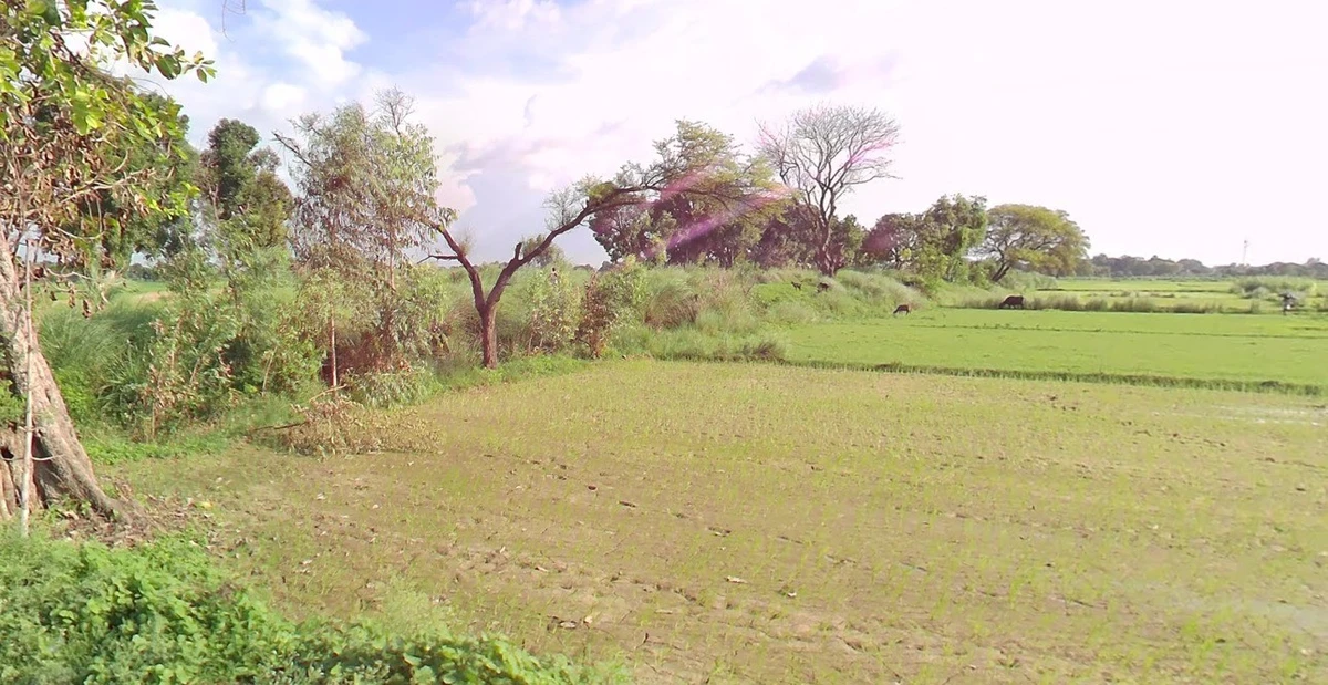 Kalu Khera, Uttar Pradesh 209821, India