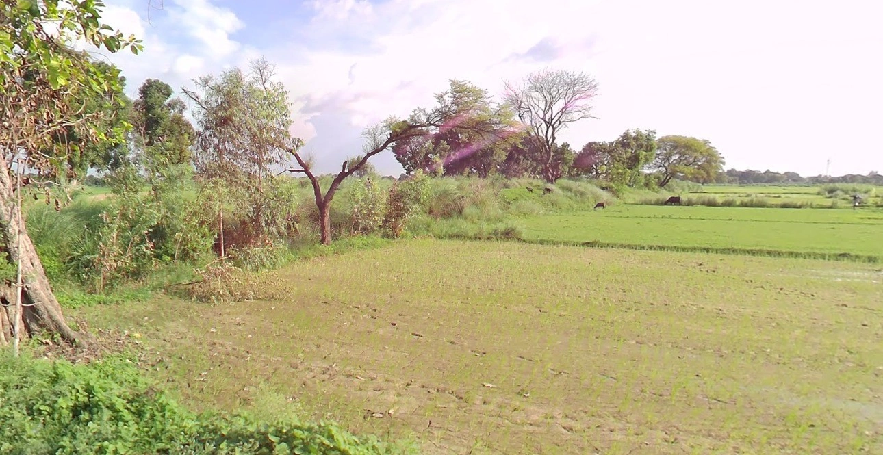 Kalu Khera, Uttar Pradesh 209821, India