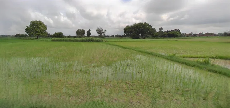 Rangia, Assam, India preview 2