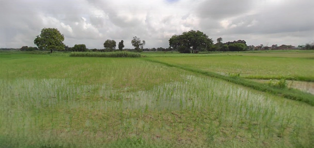 Rangia, Assam, India