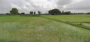 Rangia, Assam, India preview 2