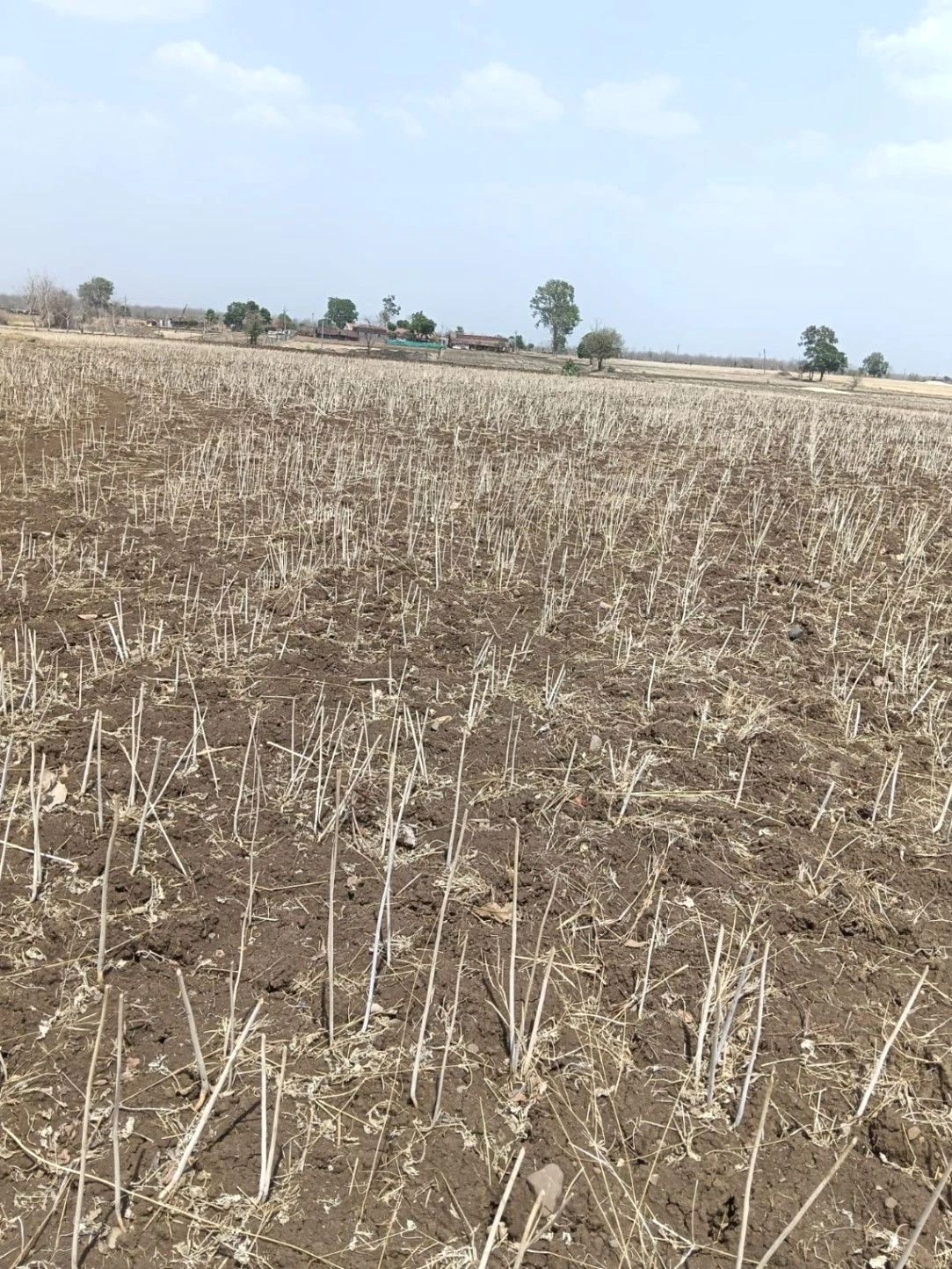Dera Bassi, Punjab, India