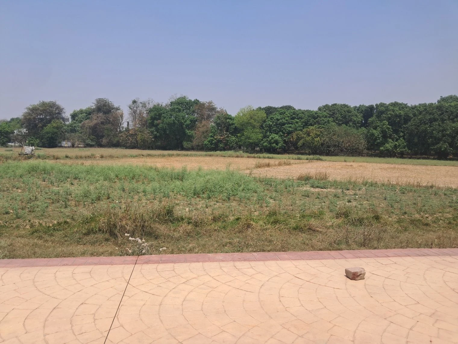 P5VV+VC Achari Ka Sagra, Uttar Pradesh, India