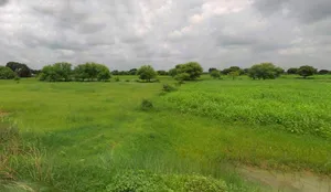 Kurukshetra, Haryana, India preview 2