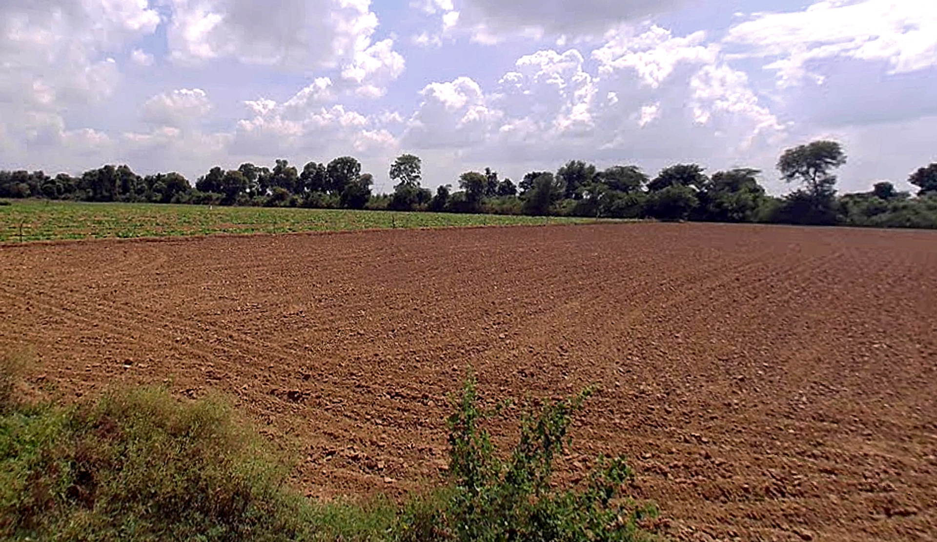 Raya, Uttar Pradesh 281204, India