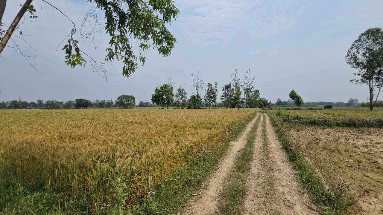 Amarpura, Rajasthan 323803, India preview 2