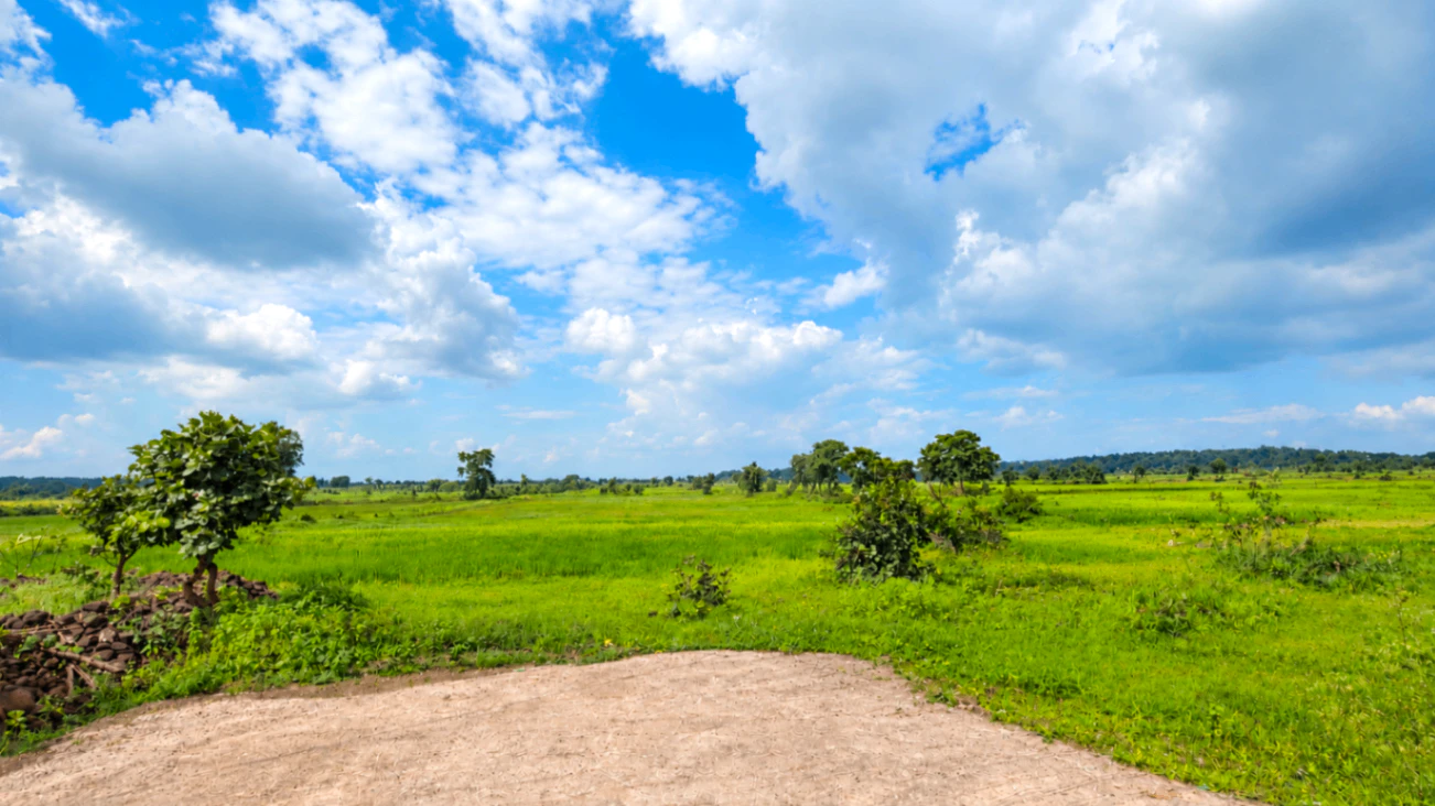 Kolabira, Jharsuguda, Odisha 768213, India