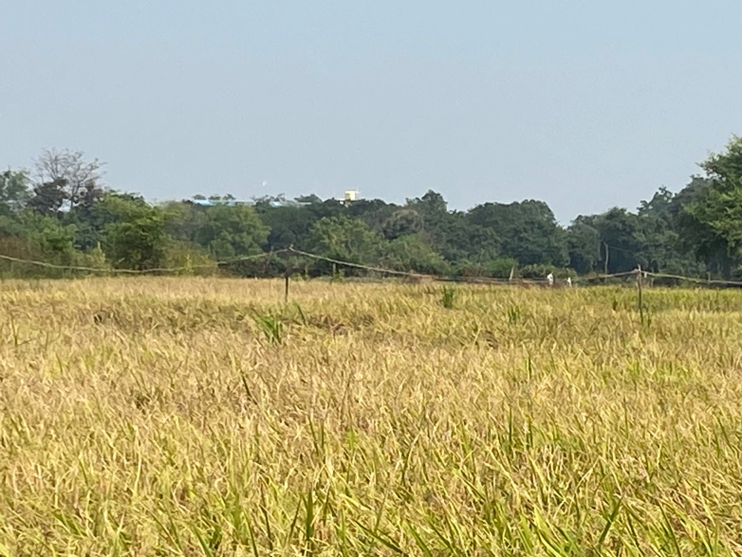 Narmadapuram, Madhya Pradesh, India