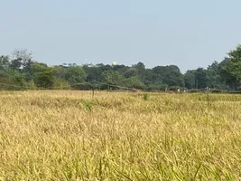Narmadapuram, Madhya Pradesh, India preview 2