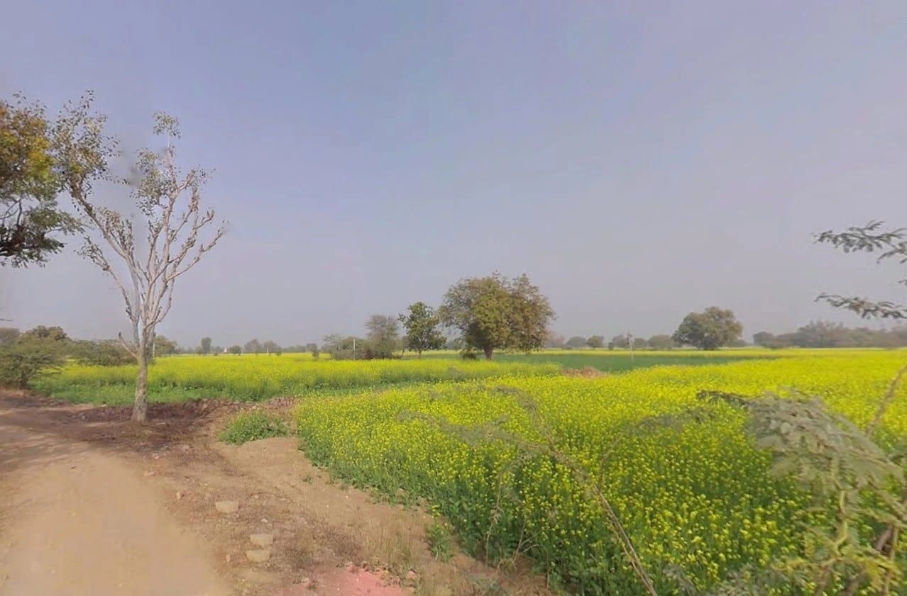9R6C+433, Maujpur, Rajasthan 321633, India
