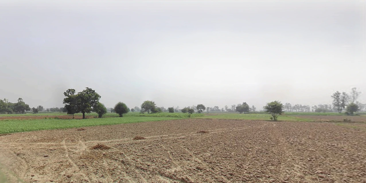 Butana, Haryana 131302, India