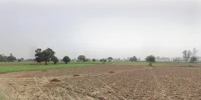 Butana, Haryana 131302, India preview 2
