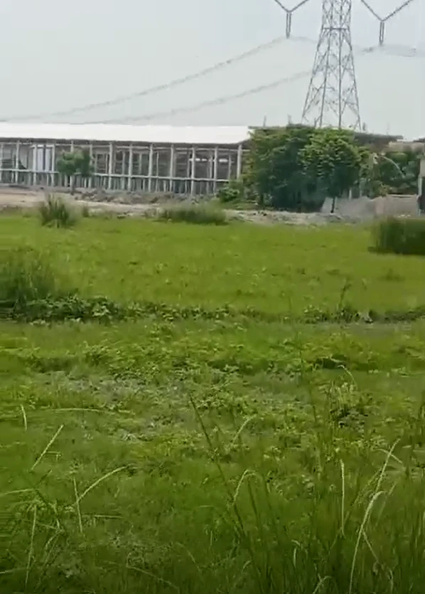 Pali, Bihar 801109, India
